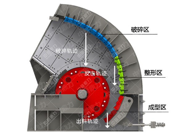 �Nʽ����C�Y��